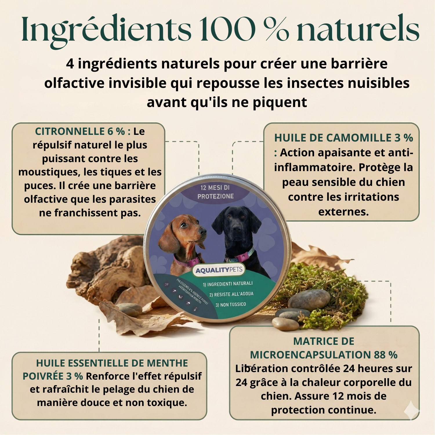 Aide à protéger votre chien contre les tiques, les phlébotomes et les puces | 12 mois de protection naturelle