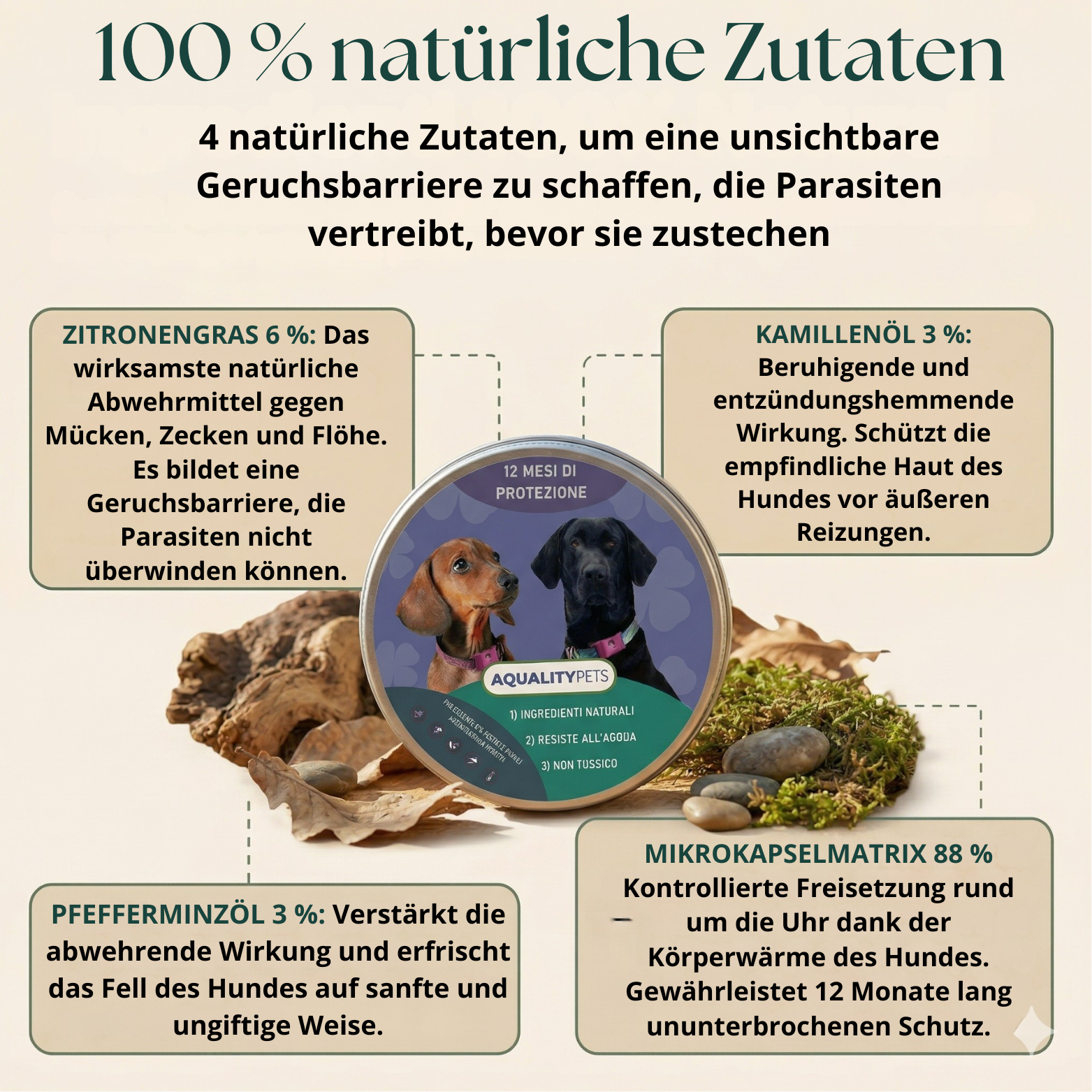 Schützt Ihren Hund vor Zecken, Sandflöhen und Flöhen | 12 Monate natürlicher Schutz