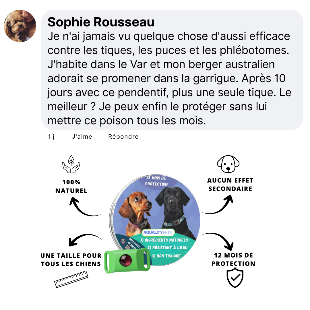 Aide à protéger votre chien contre les tiques, les phlébotomes et les puces | 12 mois de protection naturelle