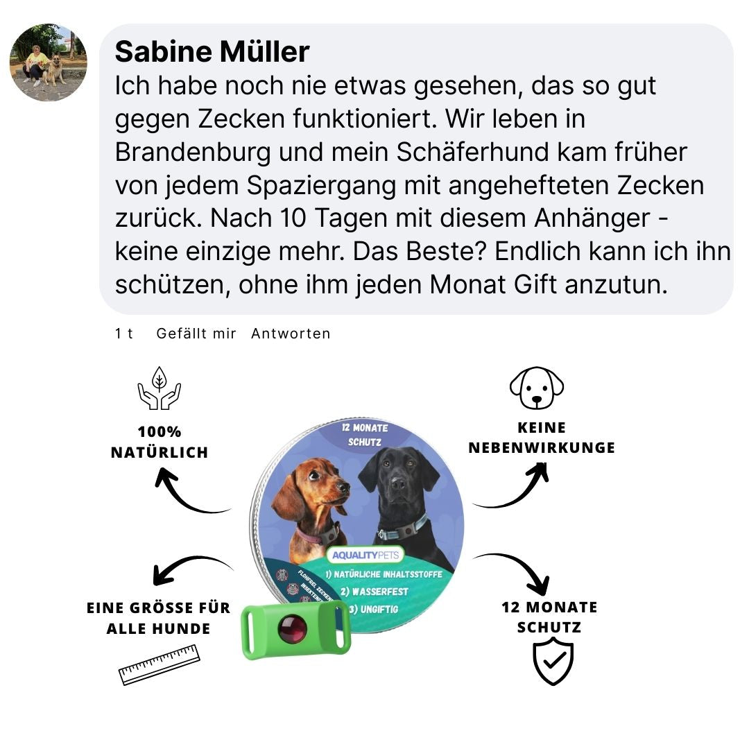 Schützt Ihren Hund vor Zecken, Sandflöhen und Flöhen | 12 Monate natürlicher Schutz