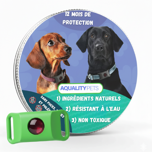 Aide à protéger votre chien contre les tiques, les phlébotomes et les puces | 12 mois de protection naturelle
