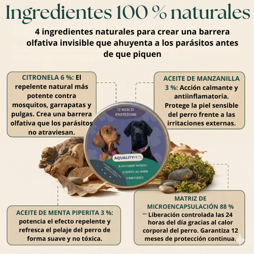 Ayuda a proteger a tu perro contra garrapatas, flebotomos y pulgas | 12 meses de protección natural