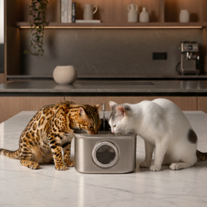 La AqualityPets™  Wireless + Sensore di movimento integrato