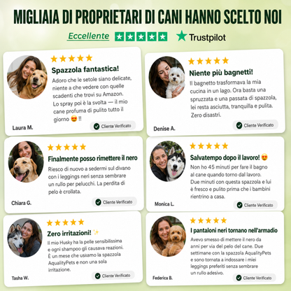 La Prima Spazzola che Rinfresca il Tuo Cane in 2 Minuti. Senza Acqua, Senza Stress.