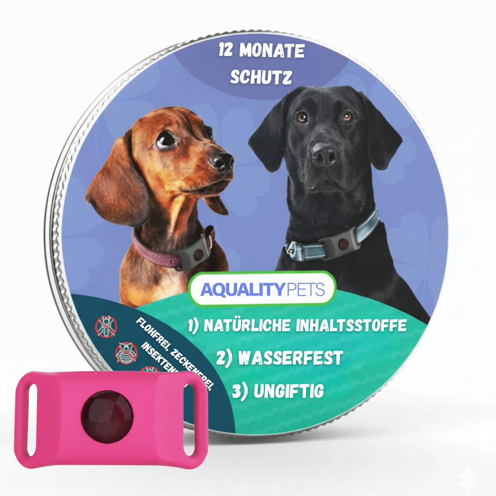 Schützen Sie Ihren Hund auf natürliche Weise vor Zecken, Flöhen und Insekten | 12 Monate Schutz