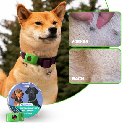 Schützen Sie Ihren Hund auf natürliche Weise vor Zecken, Flöhen und Insekten | 12 Monate Schutz