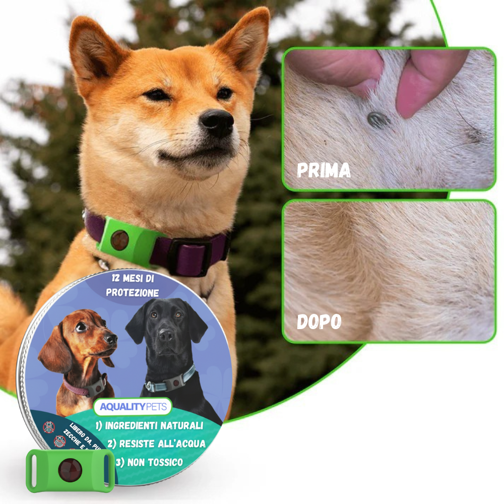 Proteggi il tuo cane in modo naturale da zecche, pappataci e pulci | 12 mesi di protezione