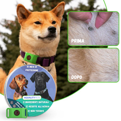 Proteggi il tuo cane in modo naturale da zecche, pappataci e pulci | 12 mesi di protezione