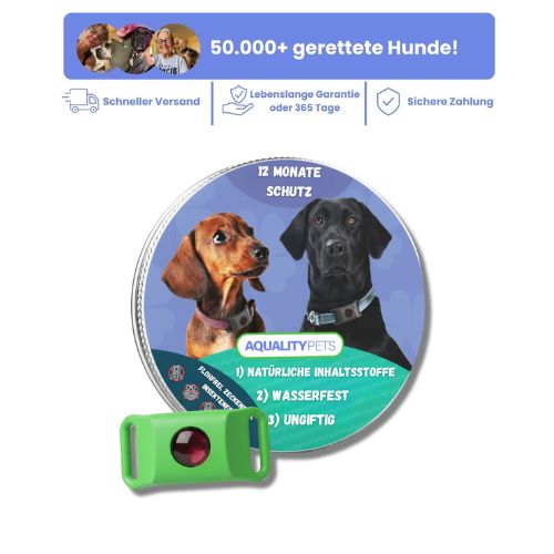 Schützen Sie Ihren Hund auf natürliche Weise vor Zecken, Flöhen und Insekten | 12 Monate Schutz