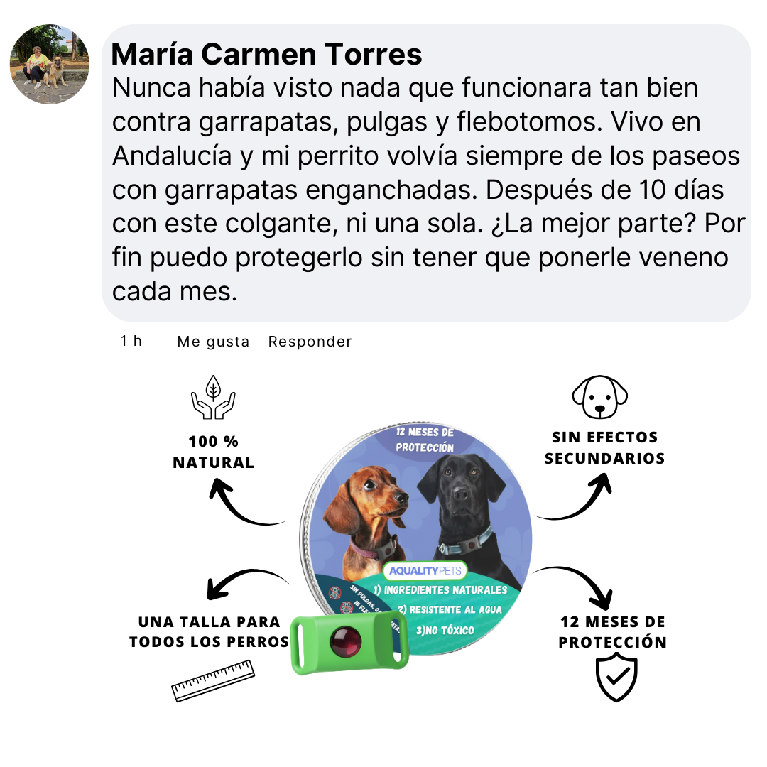 Ayuda a proteger a tu perro contra garrapatas, flebotomos y pulgas | 12 meses de protección natural