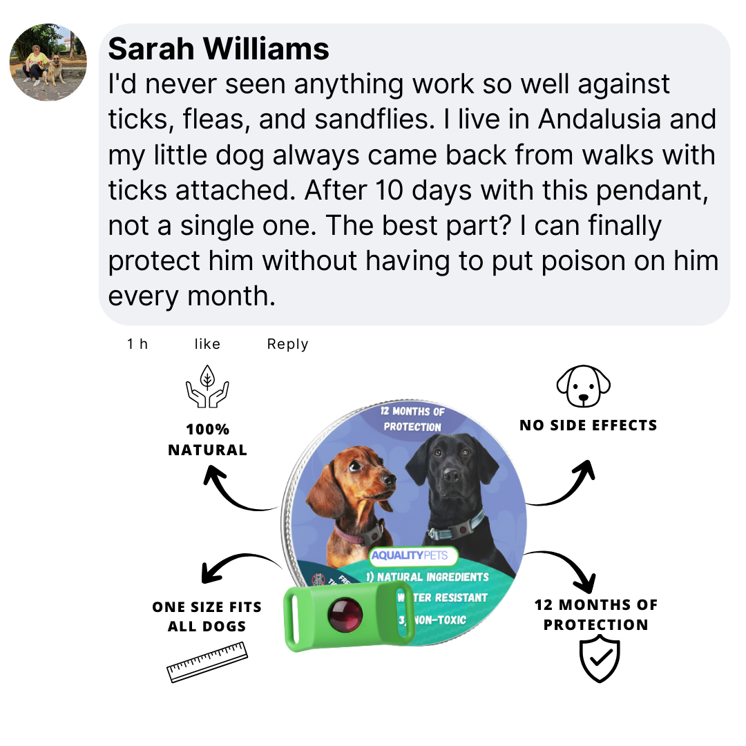 Protect your dog naturally against ticks, sand flies and fleas | 12 months of protection