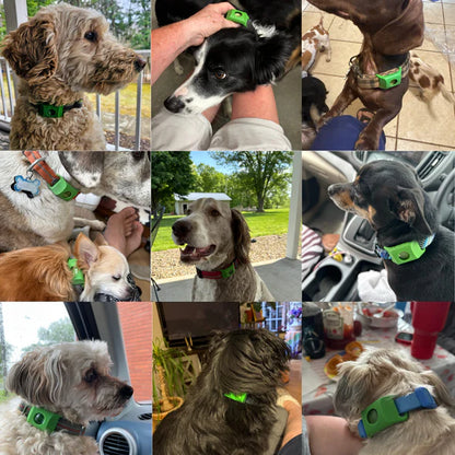 Protege tu árbol de forma natural contra garrapatas, flebótomos y flemas | 12 meses de protección